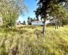 4834 59 Street, Killam, Alberta T0B 2L0, ,Land,For Sale,59,A2085093