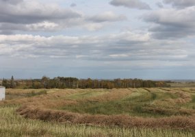 10400 85 Avenue, Sexsmith, Alberta T0H 3C0, ,Land,For Sale,85,A1165129