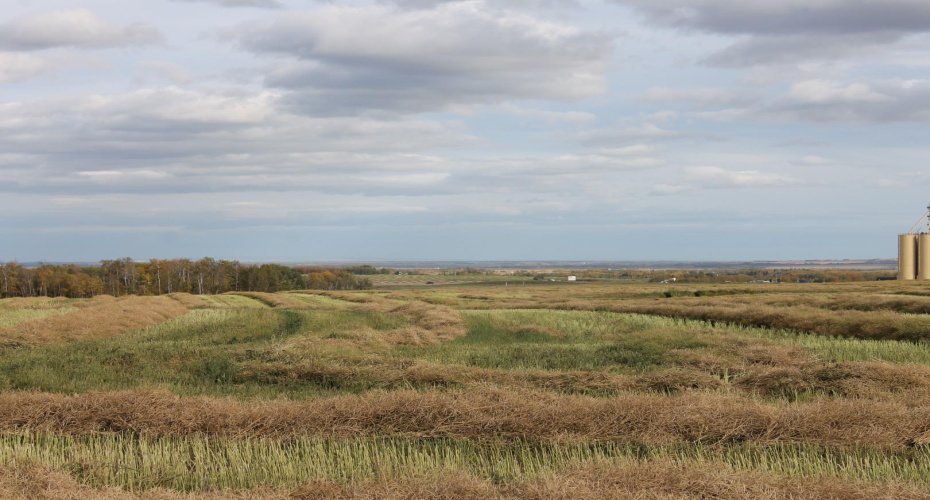 10400 85 Avenue, Sexsmith, Alberta T0H 3C0, ,Land,For Sale,85,A1165129