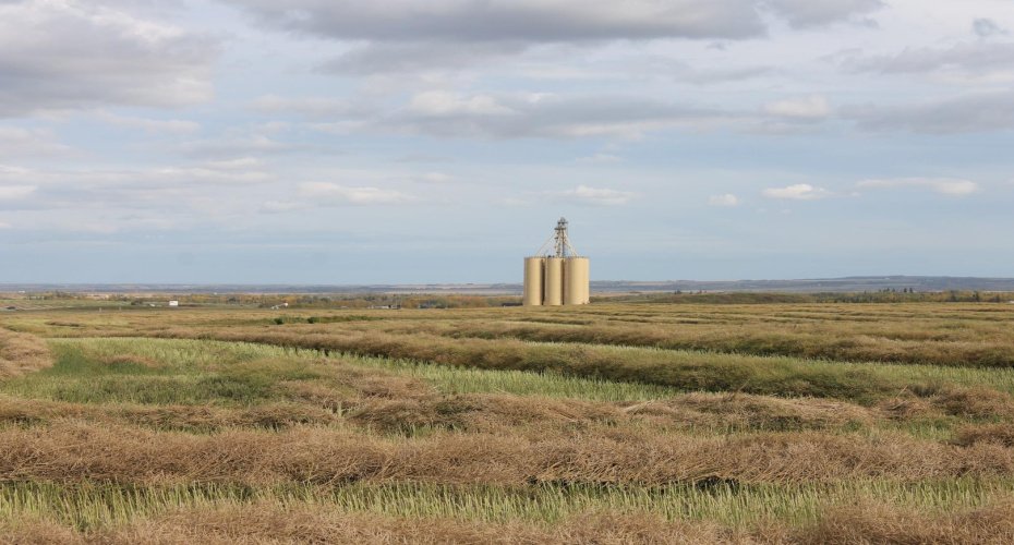 10400 85 Avenue, Sexsmith, Alberta T0H 3C0, ,Land,For Sale,85,A1165129