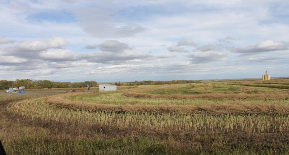 10400 85 Avenue, Sexsmith, Alberta T0H 3C0, ,Land,For Sale,85,A1165129