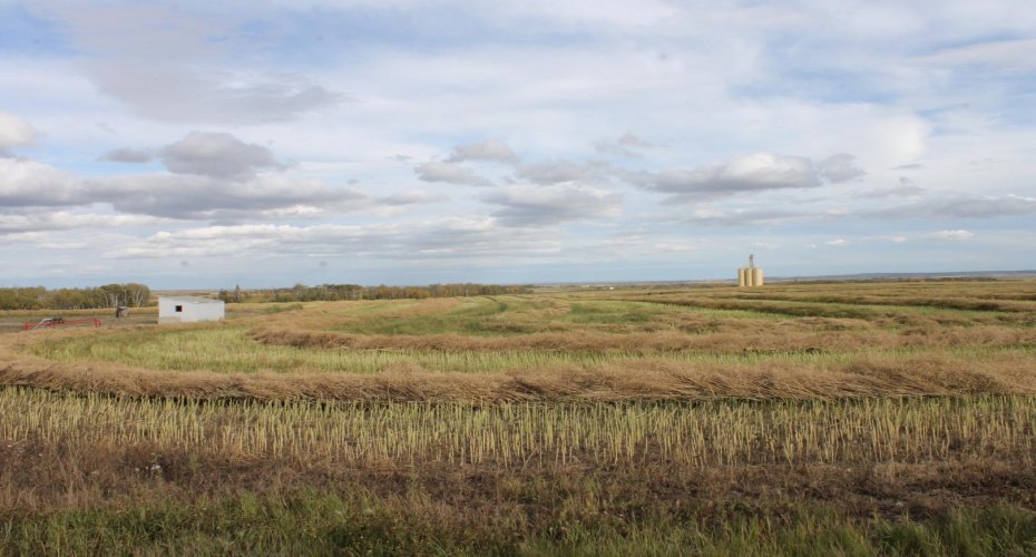 10400 85 Avenue, Sexsmith, Alberta T0H 3C0, ,Land,For Sale,85,A1165129