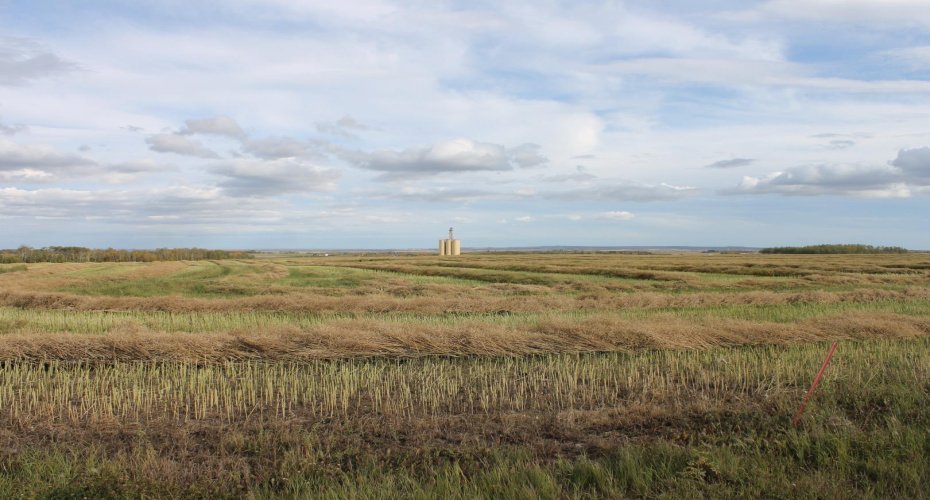 10400 85 Avenue, Sexsmith, Alberta T0H 3C0, ,Land,For Sale,85,A1165129