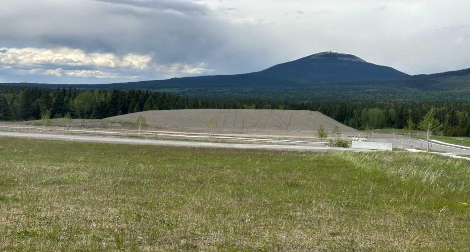 304 ELIZABETH Avenue, Nordegg, Alberta T0M 2H0, ,Land,For Sale,ELIZABETH,A2142172