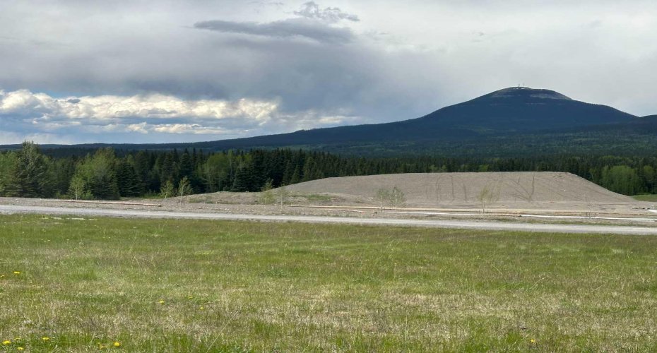 304 ELIZABETH Avenue, Nordegg, Alberta T0M 2H0, ,Land,For Sale,ELIZABETH,A2142172