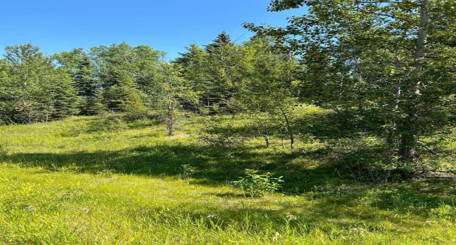 LOT R3 WESTRIDGE ROAD, Rural Woodlands County, Alberta T7S 1P8, ,Land,For Sale,WESTRIDGE ROAD,A2071514