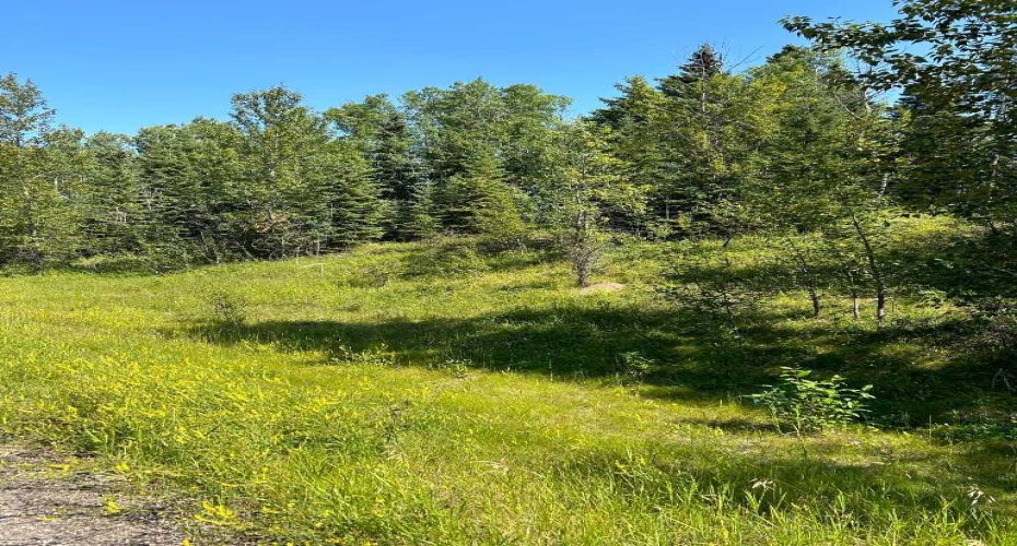 LOT R3 WESTRIDGE ROAD, Rural Woodlands County, Alberta T7S 1P8, ,Land,For Sale,WESTRIDGE ROAD,A2071514