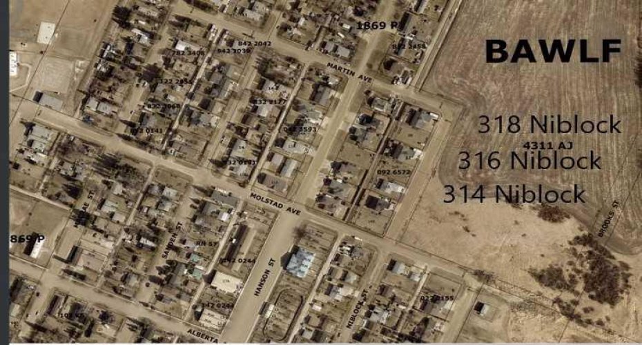 316 Niblock Street, Bawlf, Alberta T0B 0J0, ,Land,For Sale,Niblock,A2076409