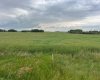 316 Niblock Street, Bawlf, Alberta T0B 0J0, ,Land,For Sale,Niblock,A2076409