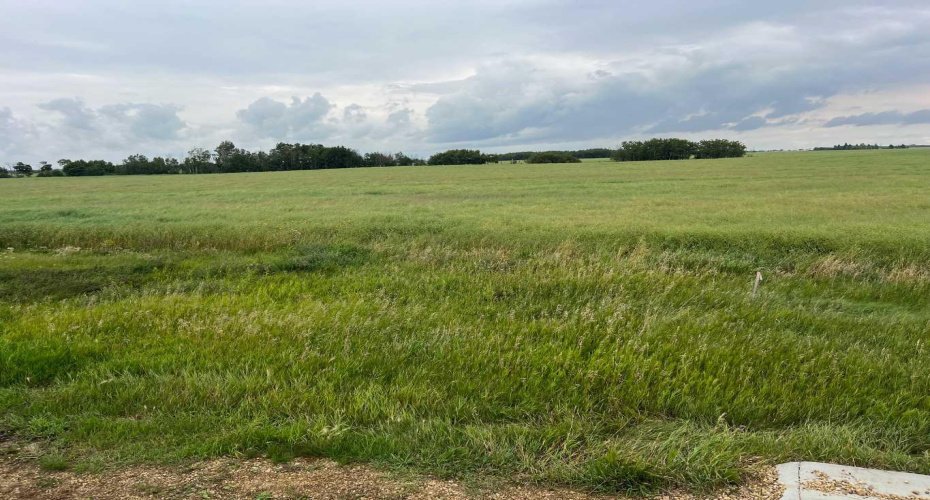 318 Niblock Street, Bawlf, Alberta T0B 0J0, ,Land,For Sale,Niblock,A2076411