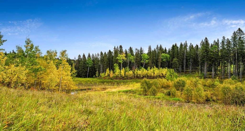 W:5 R:3 T:22 S:29 Q:NW Drive, Rural Foothills County, Alberta T0L 1W0, ,Land,For Sale,Q:NW,A2079106