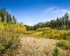W:5 R:3 T:22 S:29 Q:NW Drive, Rural Foothills County, Alberta T0L 1W0, ,Land,For Sale,Q:NW,A2079106