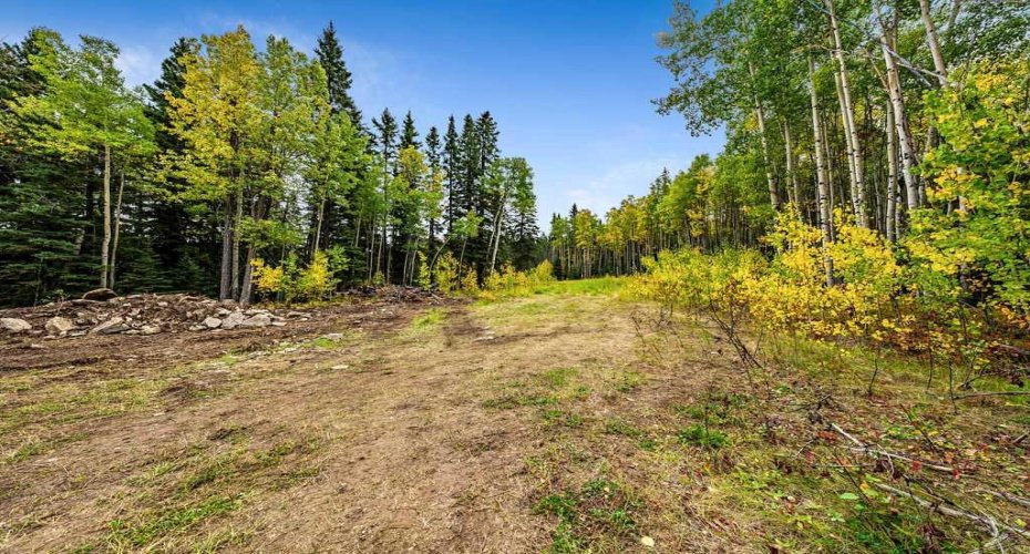 W:5 R:3 T:22 S:29 Q:NW Drive, Rural Foothills County, Alberta T0L 1W0, ,Land,For Sale,Q:NW,A2079106