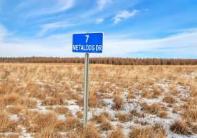 7 METALDOG Drive, Rural Clearwater County, Alberta T4T 2A2, ,Land,For Sale,METALDOG,A2003132