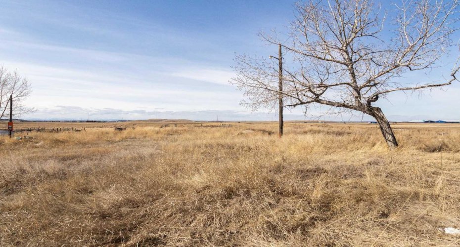 13515 84 Street, Calgary, Alberta T3S 0A6, ,Commercial,For Sale,84,A2149049