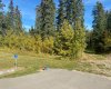 160 Meadow Ponds Drive, Rural Clearwater County, Alberta T4T 1A7, ,Land,For Sale,Meadow Ponds,A1259098