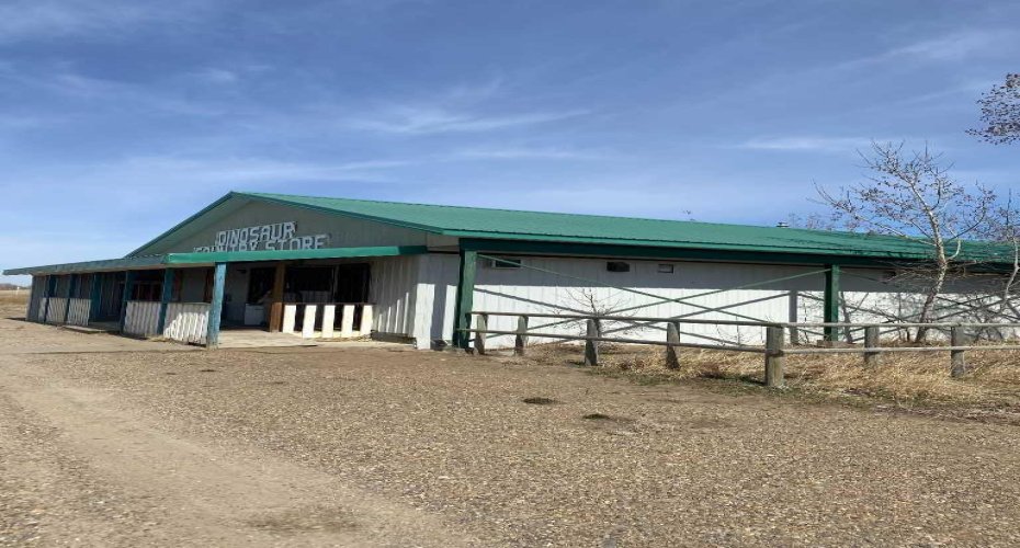 4 Newell County 4 AB T0J 2K0, Patricia, Alberta T0J 2K0, ,Commercial,For Sale,Newell County 4 AB T0J 2K0,A2151041