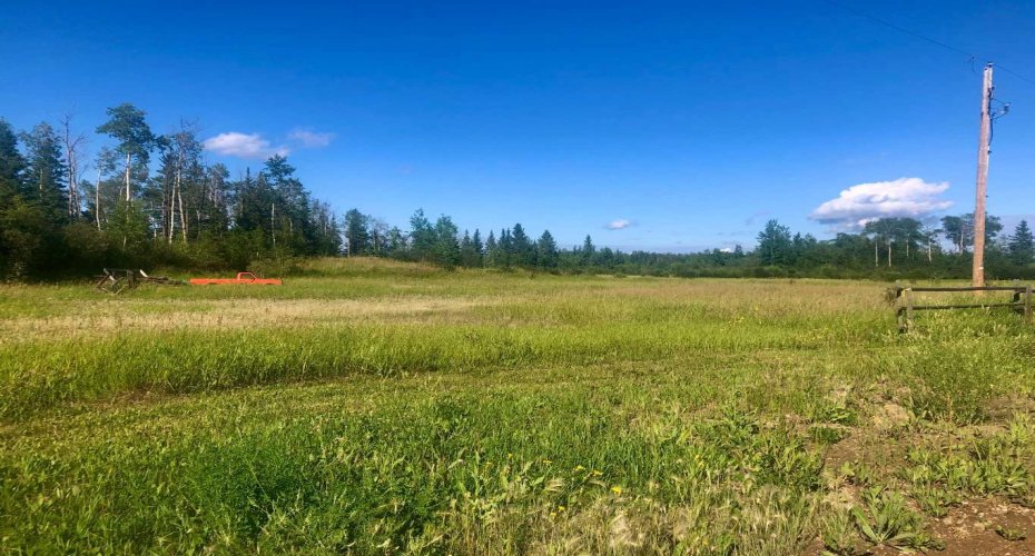 Lot 1 Plan 9724254, High Level, Alberta T0H 1Z0, ,Land,For Sale,Plan 9724254,A2153072