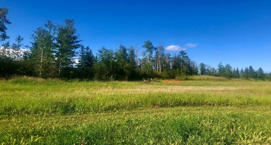 Lot 1 Plan 9724254, High Level, Alberta T0H 1Z0, ,Land,For Sale,Plan 9724254,A2153072