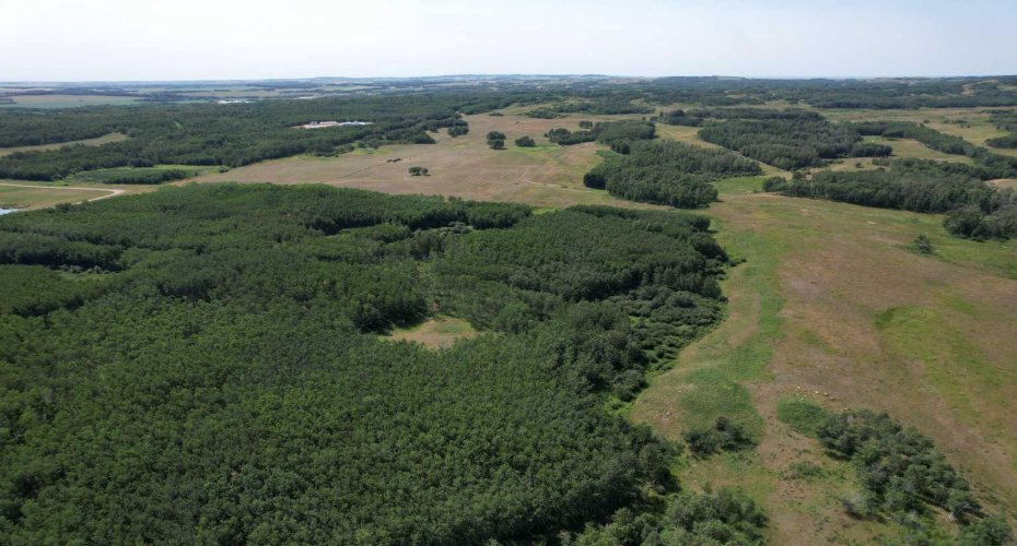 On Hwy 816, Rural Red Deer County, Alberta T4E 0V5, ,Land,For Sale,On Hwy 816,A2155823