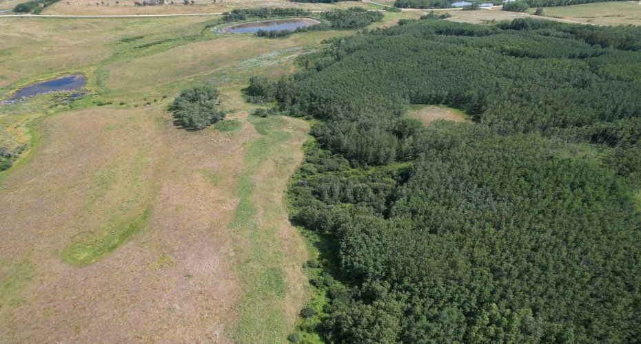 On Hwy 816, Rural Red Deer County, Alberta T4E 0V5, ,Land,For Sale,On Hwy 816,A2155823