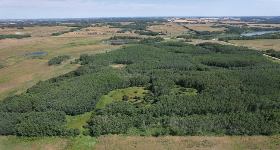 On Hwy 816, Rural Red Deer County, Alberta T4E 0V5, ,Land,For Sale,On Hwy 816,A2155823