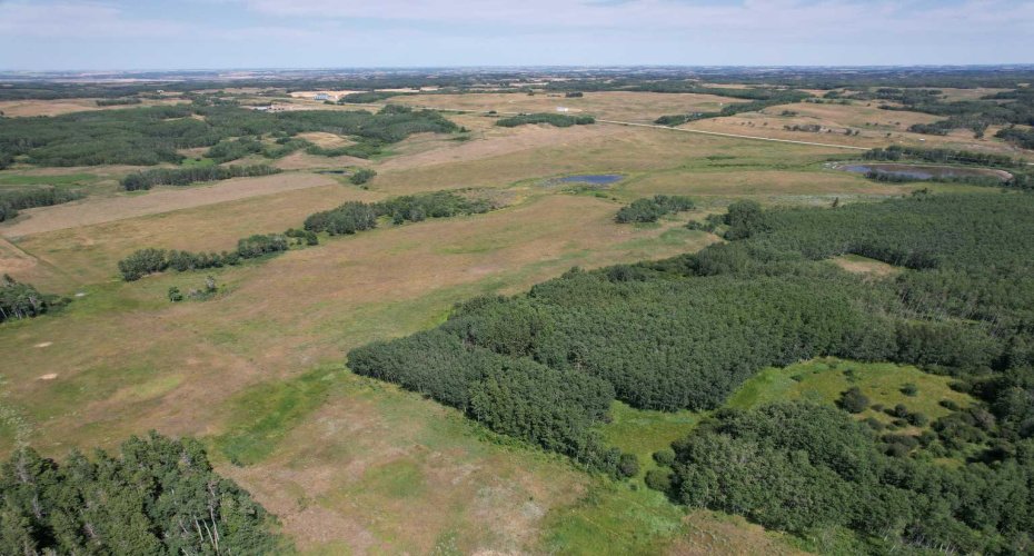 On Hwy 816, Rural Red Deer County, Alberta T4E 0V5, ,Land,For Sale,On Hwy 816,A2155823