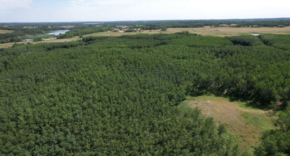 On Hwy 816, Rural Red Deer County, Alberta T4E 0V5, ,Land,For Sale,On Hwy 816,A2155823