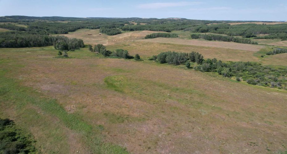 On Hwy 816, Rural Red Deer County, Alberta T4E 0V5, ,Land,For Sale,On Hwy 816,A2155823