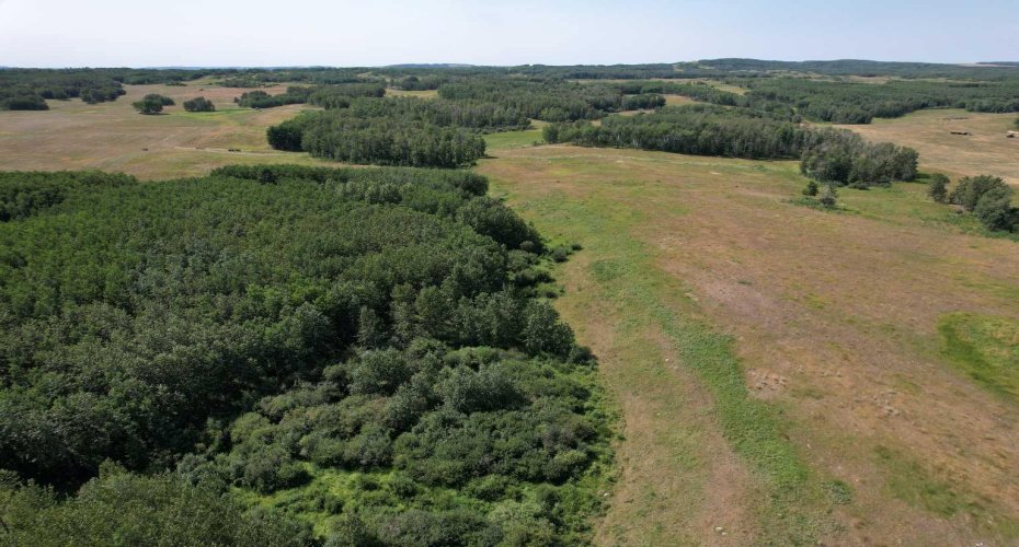 On Hwy 816, Rural Red Deer County, Alberta T4E 0V5, ,Land,For Sale,On Hwy 816,A2155823