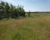 On Hwy 816, Rural Red Deer County, Alberta T4E 0V5, ,Land,For Sale,On Hwy 816,A2155823