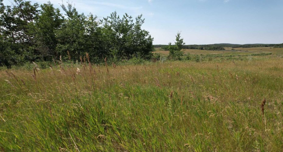 On Hwy 816, Rural Red Deer County, Alberta T4E 0V5, ,Land,For Sale,On Hwy 816,A2155823