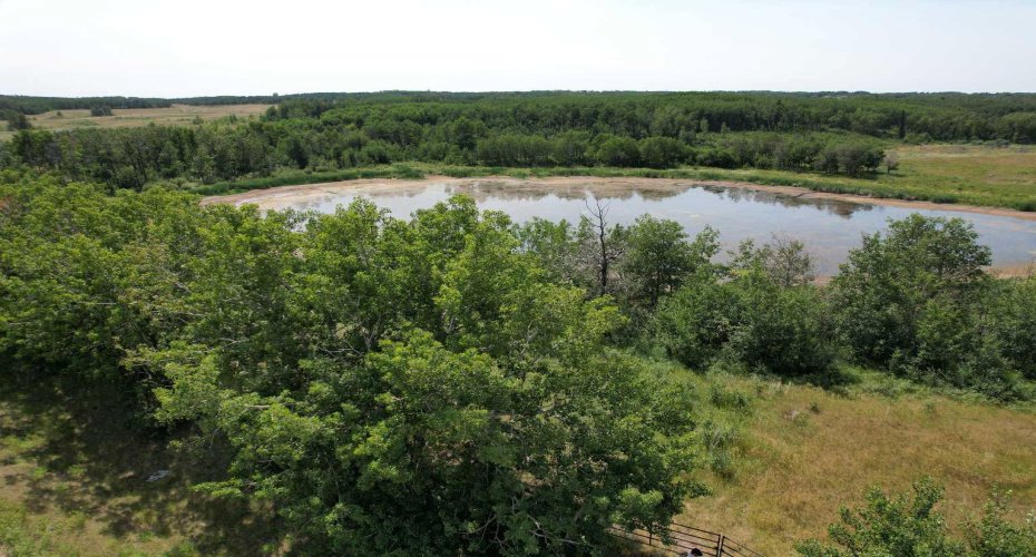 On Hwy 816, Rural Red Deer County, Alberta T4E 0V5, ,Land,For Sale,On Hwy 816,A2155823