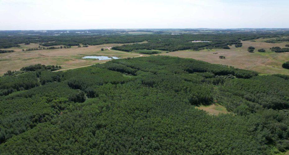 On Hwy 816, Rural Red Deer County, Alberta T4E 0V5, ,Land,For Sale,On Hwy 816,A2155823