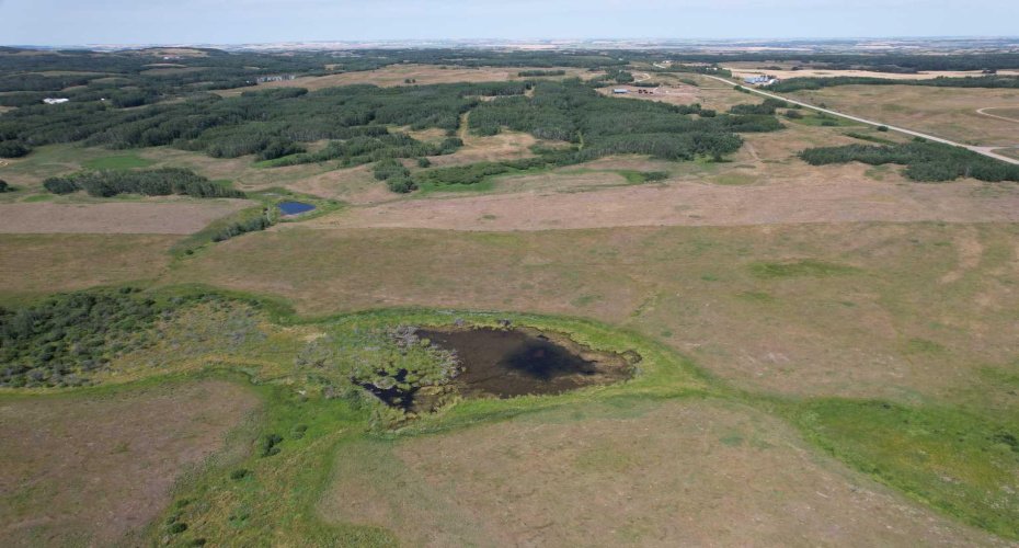 On Hwy 816, Rural Red Deer County, Alberta T4E 0V5, ,Land,For Sale,On Hwy 816,A2155823