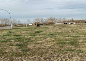 3027 12 Street, Coaldale, Alberta T1M 0E7, ,Land,For Sale,12,A2086313 3027 12 Street, Coaldale, Alberta T1M 0E7, ,Land,For Sale,12,A2086313