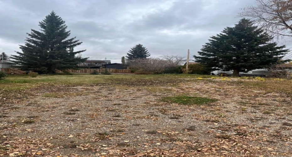 5036 47 Street, Hardisty, Alberta T0B 1V0, ,Land,For Sale,47,A2084927