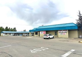 309 Main Street, Three Hills, Alberta T0M 2A0, ,Commercial,For Sale,Main,A2159933