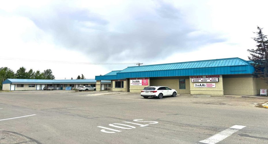 309 Main Street, Three Hills, Alberta T0M 2A0, ,Commercial,For Sale,Main,A2159933