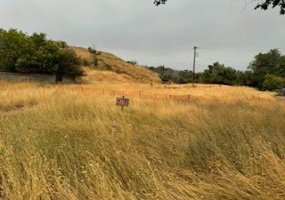 646 10 Street, Medicine Hat, Alberta T1A1H5, ,Land,For Sale,10,A2160099