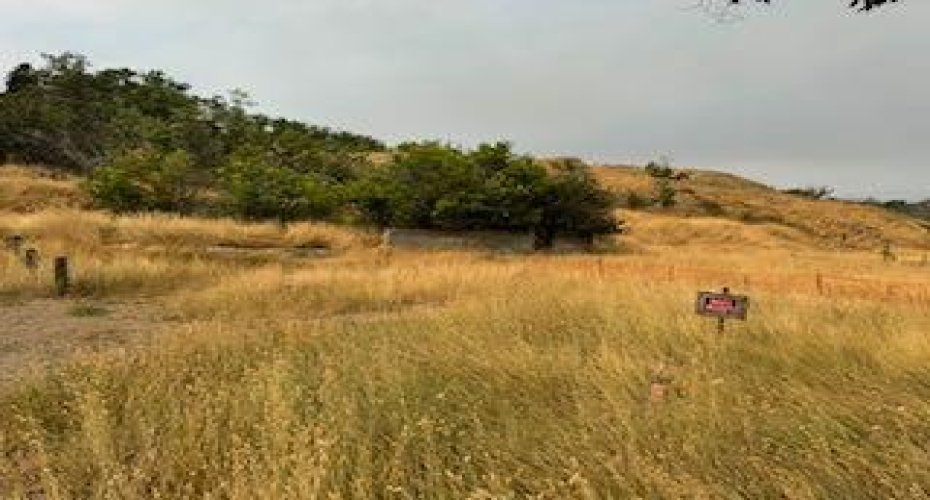 646 10 Street, Medicine Hat, Alberta T1A1H5, ,Land,For Sale,10,A2160099