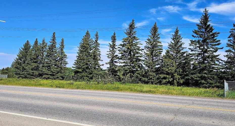716 Main Avenue, Sundre, Alberta T0M 1X0, ,Land,For Sale,Main,A2160129