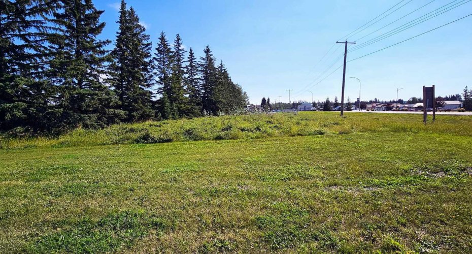 716 Main Avenue, Sundre, Alberta T0M 1X0, ,Land,For Sale,Main,A2160129