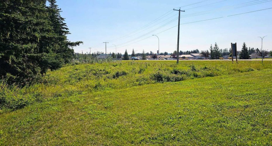 716 Main Avenue, Sundre, Alberta T0M 1X0, ,Land,For Sale,Main,A2160129