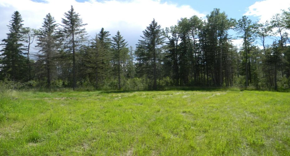 115 Meadow Ponds Drive, Rural Clearwater County, Alberta T4T 1A7, ,Land,For Sale,Meadow Ponds,A1020971