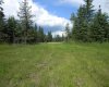 115 Meadow Ponds Drive, Rural Clearwater County, Alberta T4T 1A7, ,Land,For Sale,Meadow Ponds,A1020971