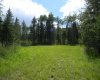 115 Meadow Ponds Drive, Rural Clearwater County, Alberta T4T 1A7, ,Land,For Sale,Meadow Ponds,A1020971