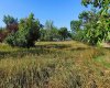 Tigermoth Crescent, Rural Willow Creek No. 26, M.D. of, Alberta T0L 0T0, ,Land,For Sale,Tigermoth,A2161425