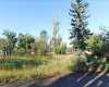 Tigermoth Crescent, Rural Willow Creek No. 26, M.D. of, Alberta T0L 0T0, ,Land,For Sale,Tigermoth,A2161425