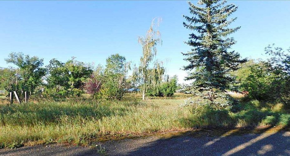 Tigermoth Crescent, Rural Willow Creek No. 26, M.D. of, Alberta T0L 0T0, ,Land,For Sale,Tigermoth,A2161425